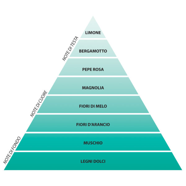 piramide olfattiva profumo capri